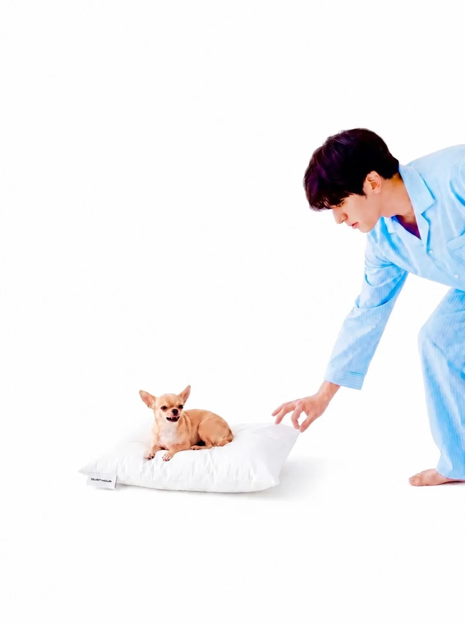 QUIET HOUR — figure reaching toward a small animal on a white pillow, tender quiet moment