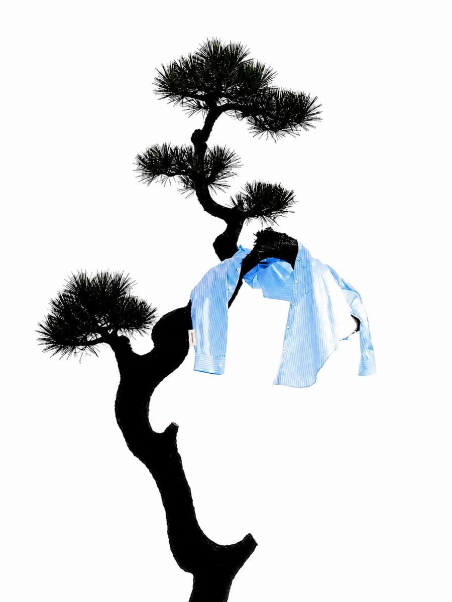 QUIET HOUR — pine silhouette with hanging blue shirt in minimal white space
